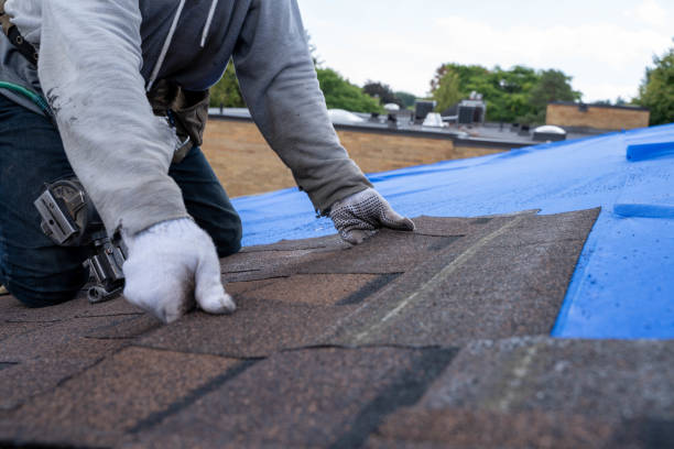 Roof Gutter Cleaning in Wilmer, TX