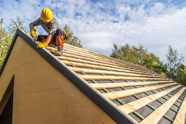 Best Roof Gutter Cleaning  in Wilmer, TX